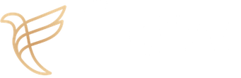 Flow Creatives